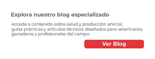 Contacto