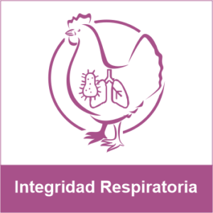 Integridad Respiratoria