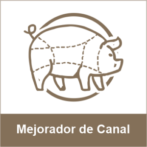 Mejorador de Canal