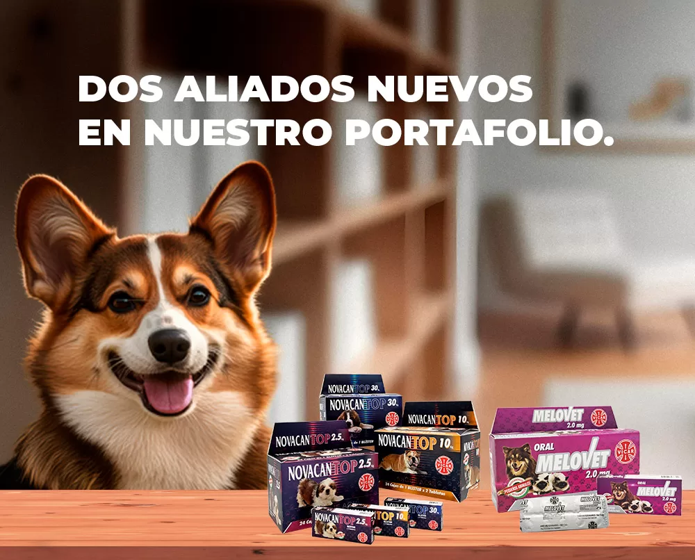 Novacan y melovet medicamentos veterinarios mascotas veterinaria vicar farmaceutica