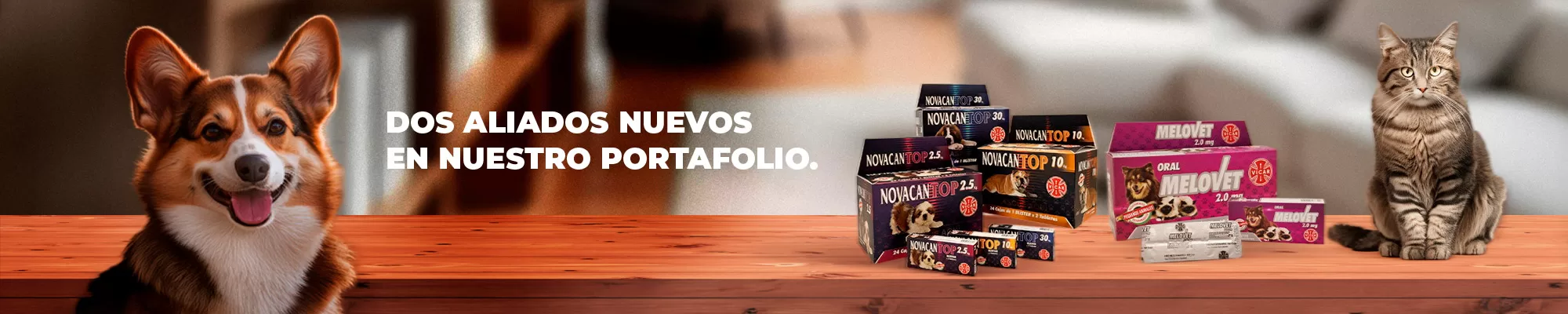Novacan y melovet medicamentos veterinarios mascotas veterinaria vicar farmaceutica