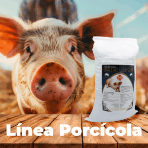 Línea Porcícola