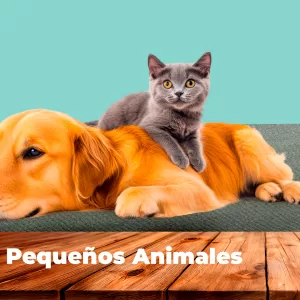 Línea Pequeños Animales