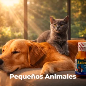Línea Pequeños Animales