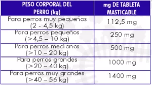 imagen 2026 03 03 084551456